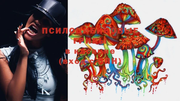 COCAINE Алексеевка