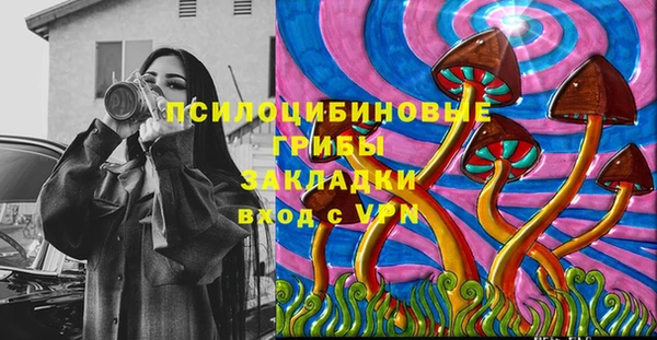 прущая мука Алзамай